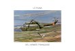 Le Puma de l'Armée Française - ge47.free.frge47.free.fr/Puma-1595/puma3a.pdf · DE L’ARMEE FRANÇAISE. Troisième partie La famille. ... Les appareils seront remis en service