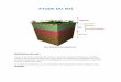 ETUDE DU SOL - grainsdevie.comgrainsdevie.com/le sol, terreau de la biodiversité 15 pages.pdf · ETUDE DU SOL Définition du sol : ’est « la formation naturelle de surface, à
