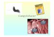 Campylobacter - microbiology.free.frmicrobiology.free.fr/Presentations/campylobacter.pdf · Campylobacter • 3 -Pouvoir pathogène • 3-1 Infections intestinales • C. jejuniet