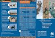 dépliant chasse 2016-2021 - · PDF fileDATES D’OUVERTURE ET DE FERMETURE DE LA CHASSE EN WALLONIE 2016 - 2021 Une version complète de la régle-mentation présentée succincte-ment