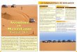 Le caravanserail de boulanoir - mauritanie- · PDF filedure au monde après le diamant . ... de fer depuis la mine à ciel ouvert de Zouerate jusqu’au ... sous vos pieds, attendez,