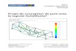 Projet de conception de pont avec le logiciel SolidWorks · PDF fileProjet de conception de pont avec ... Rapport résistance sur poids ... Lecture du tracé