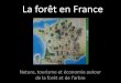 La forêt en France - · PDF fileChènaie chéne tauzin dominant Sapiniéres ou pessières dominantes (avec hétre) Mélézin dominant à haute altitude ... Main basse sur les champignons