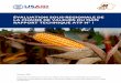 ÉVALUATION SOUS-REGIONALE DE LA CHAINE DE · PDF filesur les cours 1991-2001 du dollar US ... CIMMYT International Maize and Wheat Centre CMDT Compagnie Malienne de Développement