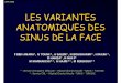 Les variantes anatomiques des sinus de la face.ppt [Mode ...pe.sfrnet.org/Data/ModuleConsultationPoster/pdf/2009/1/5179c2d9... · ANATOMIEETRADIO-ANATOMIE FONCTIONNELLE JFR 2009 par