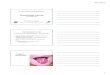 Dermatologie buccale - L Martin 2013.ppt [Mode de ... · PDF file04/12/2013 1 DU tissus calcifiés et implantologie dentaire Dermatologie buccale 16 novembre 2013 Pr. Ludovic Martin