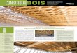 CONSTRUIRE - Cecobois · PDF fileLe journal de la construction commerciale en bois Volume 1, numéro 3, été 2009 publication gratuite CONSTRUIREBOIS en sommaire 1 actualités réalisations