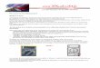 · PDF fileCe plan d'ensemble provient d'une revue pratique et technique automobile spéciale « Peugeot 306 ... diamètre 8 qui ... le compartiment moteur vers