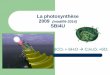 La photosynthèse 2009 (modifié 2014) SBI4U · PDF filethylakoïde Stroma . Voir pp. 86 et 87 du manuel