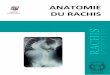 ANATOMIE DU RACHIS - anatomie.univ-catholille.franatomie.univ-catholille.fr/wp-content/uploads/2017/01/Rachis-2.0.pdf · 3 GENERALITES Le rachis, ou colonne vertébrale, est un élément