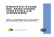 PROTECTION DE MACHINE VIRTUELLE VMWARE - dell. · PDF fileperformances imposée au serveur ESX au cours de la sauvegarde et avoir un ... de base au niveau du script Sauvegardes traditionnelles