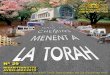LA TORAH - HEVRAT PINTO Institutions à la mémoire de ...hevratpinto.org/PDF_n/magazine/francais/Magazine_29.pdf · La disparition du Tsadik Rabbi Eleazar Abou’hatséra ... mission