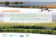 161003_brochure_ramsar_occ-sol_tome_1 · PDF file3 Résumé des principaux résultats - Vingt-cinq des 32 sites Ramsar métropolitains français ont plus de la moitié de leur surface