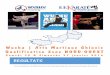 RESULTATS - asac-club.fr · PDF fileRESULTATS Une compétition qualificative pour les Championnats de France et les Coupes de France. Wushu | Arts Martiaux Chinois Qualification Zone