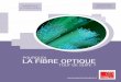 la fibRe optique - Groupe Caisse des Dépôts · PDF filePage 4 1 ENJEUX L’étude analyse les facteurs en faveur du déploiement généralisé de la fibre de bout en bout (FttH)