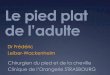 Le pied plat - streaming-canal-u.fmsh.fr · PDF fileIntroduction o Pathologie complexe o Physiopathologie o Déformations articulaires o Lésions ligamentaires o Lésions musculo tendineuses