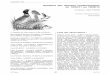 Synthèse des données ornithologiques du 15/08/11 au …files.biolovision.net/vienne.lpo.fr/userfiles/telechargements/... · AIRAULT Vivien (AirV) - ALBERT Nathalie (AlbN) - ALDEHUELO