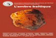Association Internationale des Artisans de l’Ambre ... baltique.pdf · Roumanie (le roumanite), l’ambre de Sicile (la simetite), l’ambre de la Birmanie (la birmite), de l’ambre