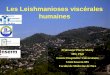 Les Leishmanioses viscérales humaines - Bienvenue …imea.fr/imea-fichiersjoints/cours_DIU_medecine_sante/...BRESIL environ 4 à 5000 cas de LVZ/an souvent en relation avec la malnutrition