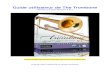 The Trombone Manual - Sample · PDF fileAvant de commencer Quoi de nouveau dans The Trombone 3 ? Cette nouvelle version comprend plusieurs nouvelles fonctionnalités. Pour une description