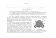 Rôle économique des insectes aquatiques - kmae- · PDF fileles Simulium equinum et salopiense dont les larves et nymphes abondent ... sur les bords du lac Nyassa, font des sortes