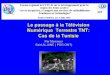Le passage à la Télévision Numérique Terrestre TNT: Cas de ...madwatch.net/dossier/dossier_prezonttnt.pdf · l’exploitation des réseaux de télédiffusion en ... † Réseau