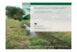 Monitoring de la Petite Glâne - Site officiel de l'Etat de ... de la Petite Glâne — Campagne 2011 Diagnostic et propositions de mesures de gestion Service de l’environnement