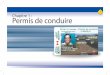 Permis de conduire - Prince Edward Island permis de conduire est limité à la conduite de la ou des classe(s) de véhicule(s) indiquée(s) sur le permis et toujours subordonné à