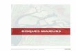 Profil environnemental de la Gironde – Risques majeurs ... · PDF fileProfil environnemental de la Gironde – Risques majeurs – Atelier BKM 254 Le risque majeur est la survenue