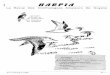 La Revue Des Ornithologues Amateurs De Guyane - gepog. · PDF fileA Vos Jumelles LE PETREL CUL-BLANC Oceanodroma leucorhoa Cousins miniatures des somptueux albatros des mers du Sud,