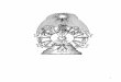 Arcana 02 - revue - Grand Lodge Bet-El livres/52508179-discours-marconsi.pdf · Le rameau d'or d'Eleusis, ... (le “rameau d’ or”). Les faux hiéroglyphes sont révélateurs