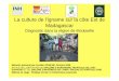 La culture de l’igname sur la côte Est.ppt [Mode de ...iarivo.cirad.fr/doc/corus/La_culture_igname_cote_Est.pdf · La culture de l’igname sur la côte Est de Madagascar Diagnostic