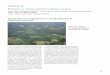 introduction au zonage forestier et à la planification de ...€¦ · 207 Photo 11.1 : Défriche-ments agricoles et jachères à proximité de Kisangani chaPitre 11 exPérience du