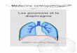 Médecine ostéopathique Les poumons et le diaphragmeosteopedia.iao.be/uploads/longen_fr_demo.pdf · 8 2. Anatomie (Dalley & Agur 2004, Gray 1918, Netter 2006, Sobotta 2001, Tortora