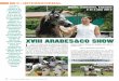 XVVIIIIII AARRAABBEESS&&CCOO SSHHOOWW LCo2012.pdf · Jamaal x LM-Sandunga), owned by the galician breeder Mario Alonso, was the winner unanimously, with - (Borneo x Pikara; owner