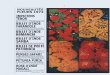 IMPATIENS TÉNOR ŒILLET D'INDE FARANDOLE …biblio.rsp.free.fr/Pdf/Vilm1972Fleurs.pdf · Perle rouge. Écarlate foncé ..... Linda ( Nouveauté 1970). Une boule de fleurs rose vif