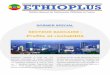 DOSSIER SPECIAL - newsletterethiopianembasy.frnewsletterethiopianembasy.fr/onewebmedia/ETHIOPLUS - Secteur... · au profit des opérateurs éthiopiens. 16 banques commerciales privées