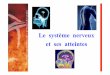 le Système Nerveux Et Ses Atteintes - Sdis14 · SAP 1 Syst me nerveux Author: sgras Created Date: 7/2/2009 12:00:00 AM 