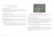 4.7.5 Les espèces végétales de la zone d’étude DDAE Carrière de la Ravine du Trou - Commune de Saint Leu - (974) EMC² / BD / ICPE D-163 EV3 TOME 2 : TUDE D’IMPACT| 75 4.7.5.3