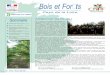 Bois et Forêts - Accueil | CRPF Pays de la Loirecrpf-paysdelaloire.fr/sites/default/files/journal/...Bois et Forêts Pays de la Loire en Sommaire Additionner les forces ! p. 1 2017