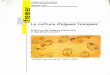 Direction de l'Environnement - Archimerarchimer.ifremer.fr/doc/00136/24711/22764.pdf · cu E cu a..-'1 Direction de l'Environnement et de l'Aménagement Littoral Isabelle BAUJARD
