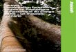 Coupez ! L’exploitation forestière illégale en République ... · Greenpeace Africa Coupez ! L’exploitation forestière illégale en 3 République démocratique du Congo (RDC)