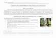 Culture de champignons sur billes en sous-bois technique - Pour diversifier les produits en forêt et ses revenus Culture de champignons sur billes en sous-bois Shiitake ( Lentinula