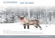 Decembre 2016 Rouge comme un lumignon? - Northern …€¦ ·  · 2016-12-09effet d’inspiration psychologique chez le renne au nez rouge. Source: ... luminosité du nez de Rudolph,