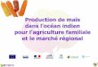 Production de maïs dans l'océan indien pour l'agriculture …€¦ ·  · 2014-02-27La culture du maïs dans les pays de la région du Sud-Ouest de l‘Océan Indien: ... Pépinière