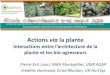 Actions via la plante - Accueil ·  · 2013-08-28... effet « dilution » de la plante-hôte parmi d’autres plantes ... L’architecture de la plante fournit des outils d’analyse