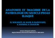 ANATOMIE ET IMAGERIE DE LA PATHOLOGIE DU …pe.sfrnet.org/Data/ModuleConsultationPoster/pdf/2009/1/f0e3e515-89... · anatomie et imagerie de la pathologie du muscle psoaspathologie