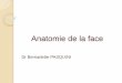 Anatomie de la face - amiform.com descriptive de la face ... Branche cervico-faciale : Rameau buccal inférieur Rameau mentonnier Rameaux cervicaux . Nerf facial