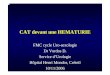 CAT devant une HEMATURIE - CHU Henri Mondorurologie-chu- ?· CAT devant une HEMATURIE FMC cycle Uro-sexologie…