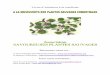 Livret d’initiation à la cueillettelivresnumeriquesgratuits.com/data/documents/A-la-decouverte-des-pl... · Livret d’initiation à la cueillette ... 39 Plantain ... jus, cataplasmes